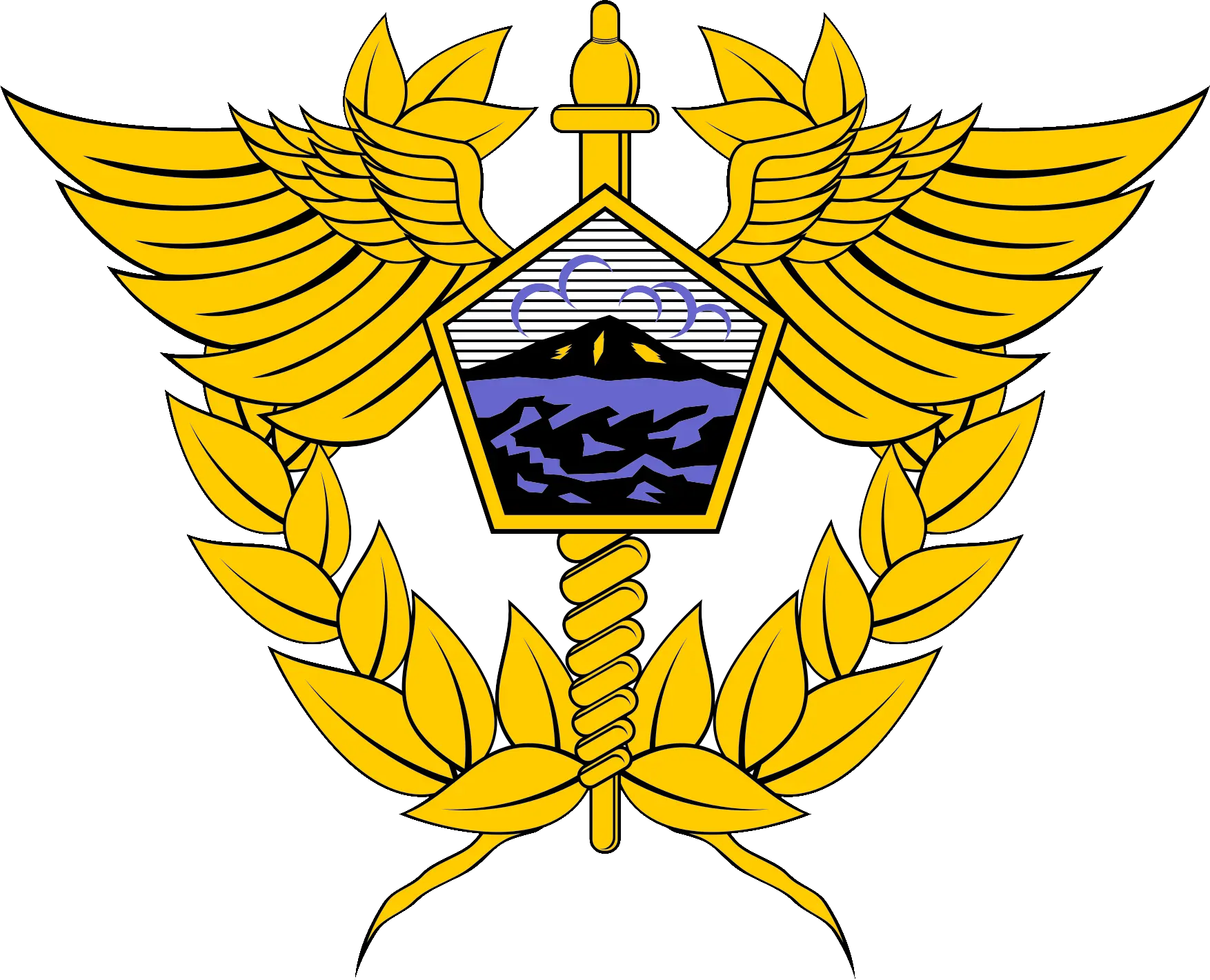 Directorate General of Customs and Excise